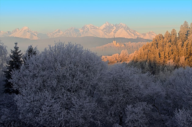 Bazilika Navštívenia Panny Márie