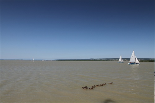 neusiedler see