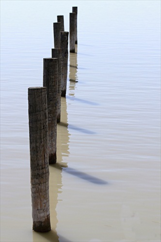 Neusiedler see