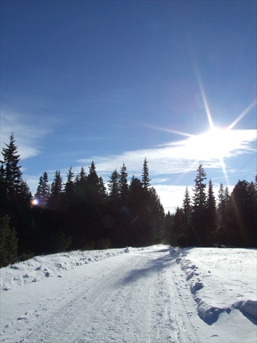 Vysoké Tatry