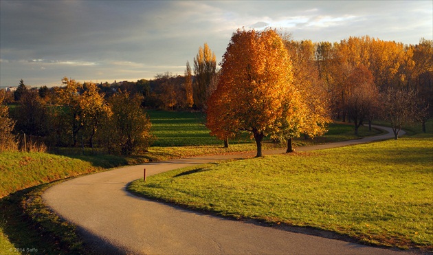 Cestička . . .