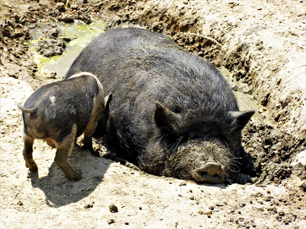 Mamina v kúpeľoch :-)