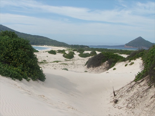 NSW Australia