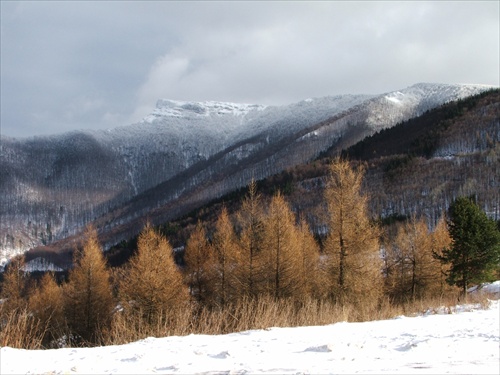 Kľak,Fačkovské Sedlo