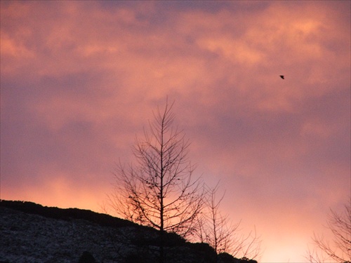 Obloha nad Pentland Hills