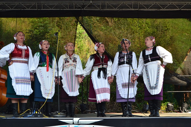 Hiadlovský krumplovník 2014