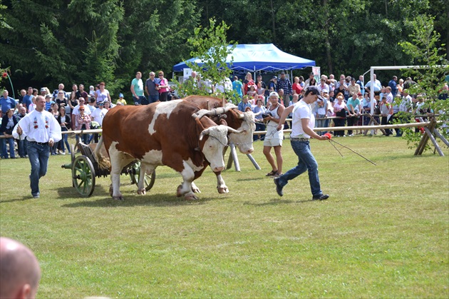 Sihla-Jarmo 2016