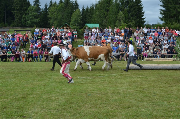 Sihla-Jarmo 2016