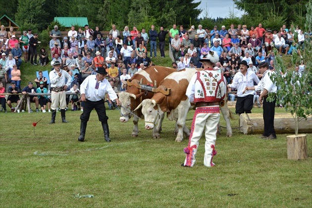 Sihla-Jarmo 2016