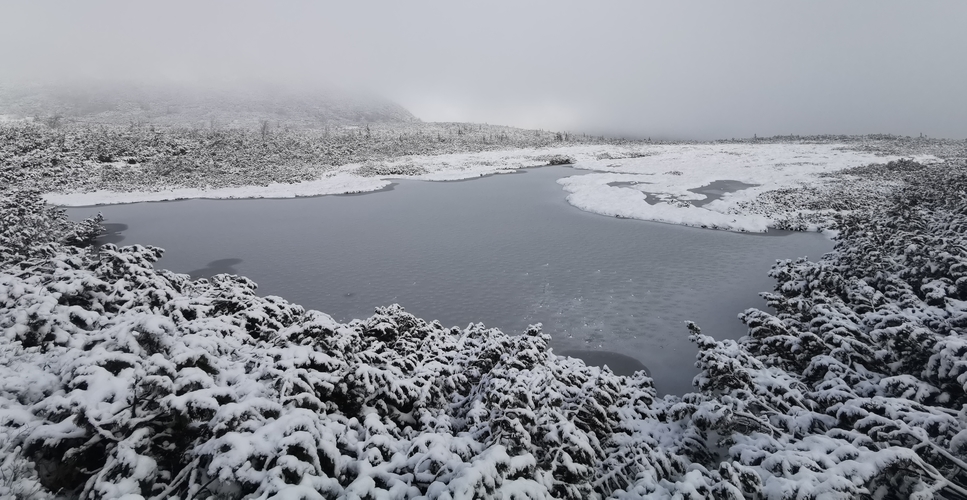 Trojrohé pleso (1620m)