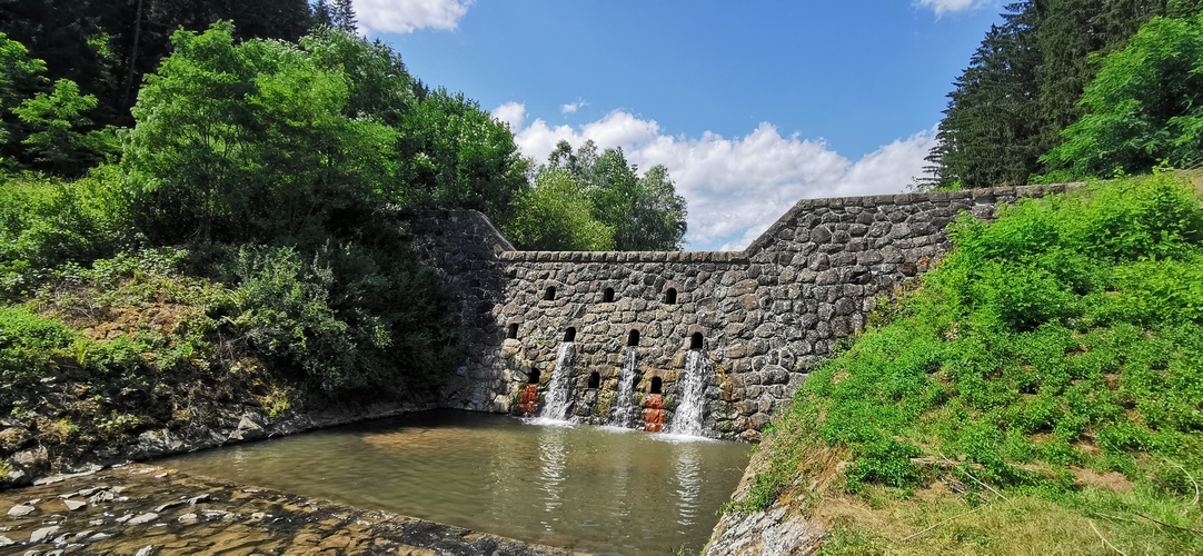 Papradnianska stavnica