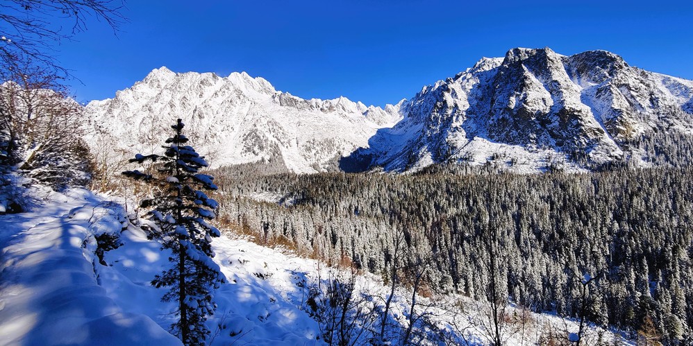 Cestou na Popradské pleso