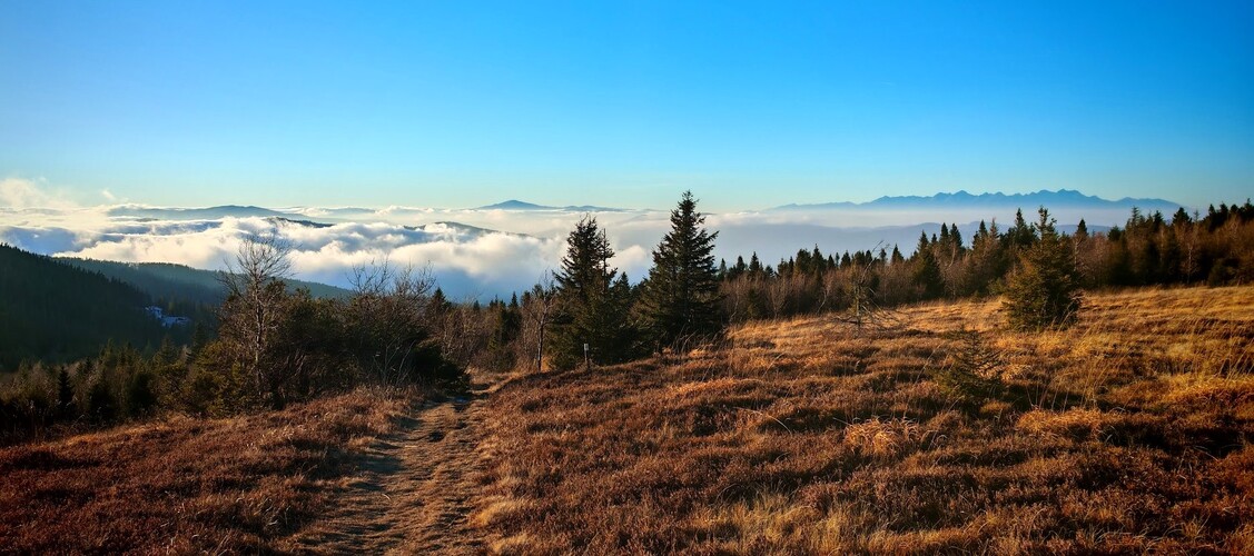 Cestou z Kojšovskej hole