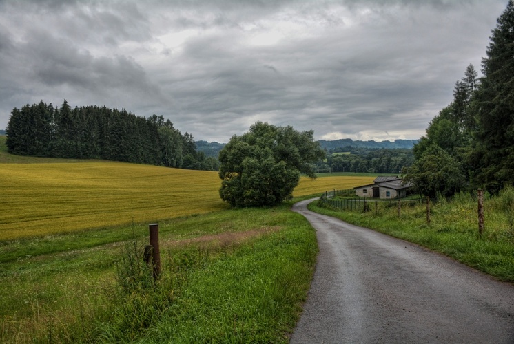 Krajina v dešti