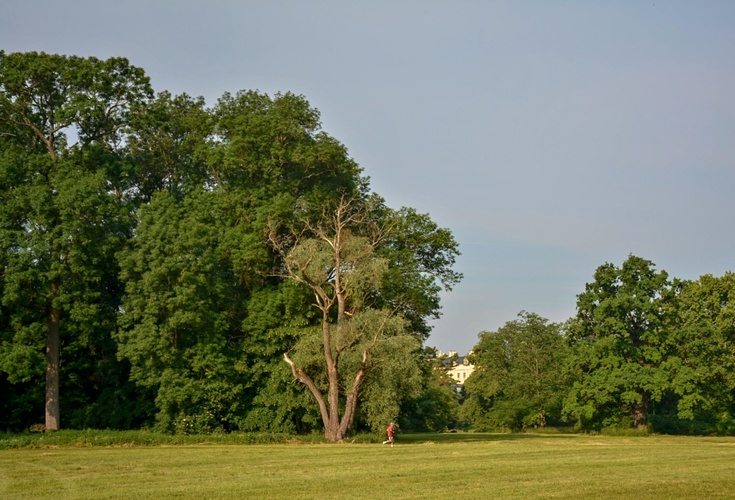 Běžec