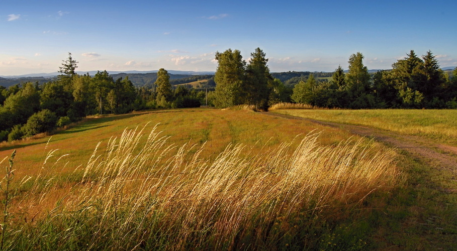 Podvečer