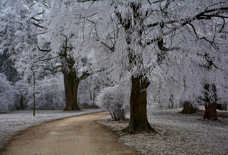 Park v krajkách