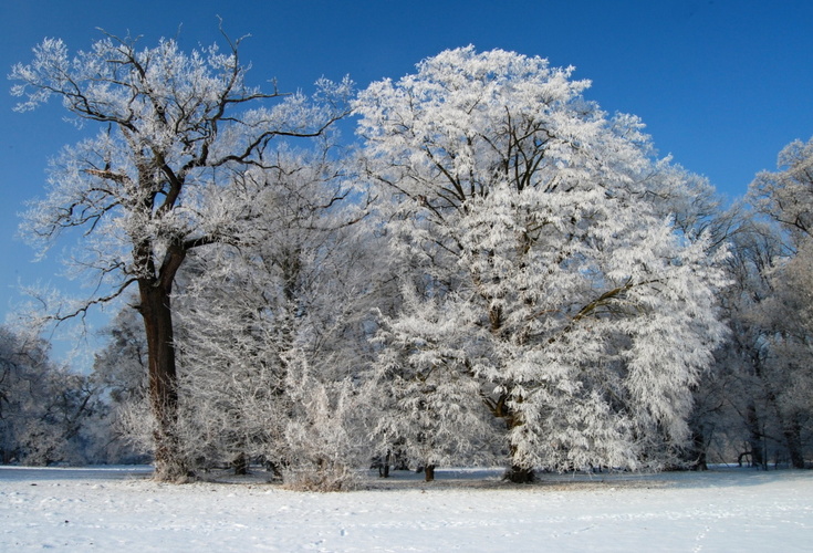 Ženich a nevěsta