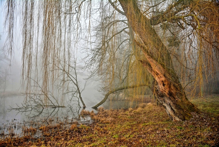 Za závojem