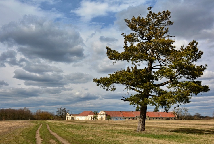 Nový dvůr