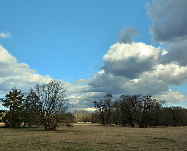 Březnová krajina