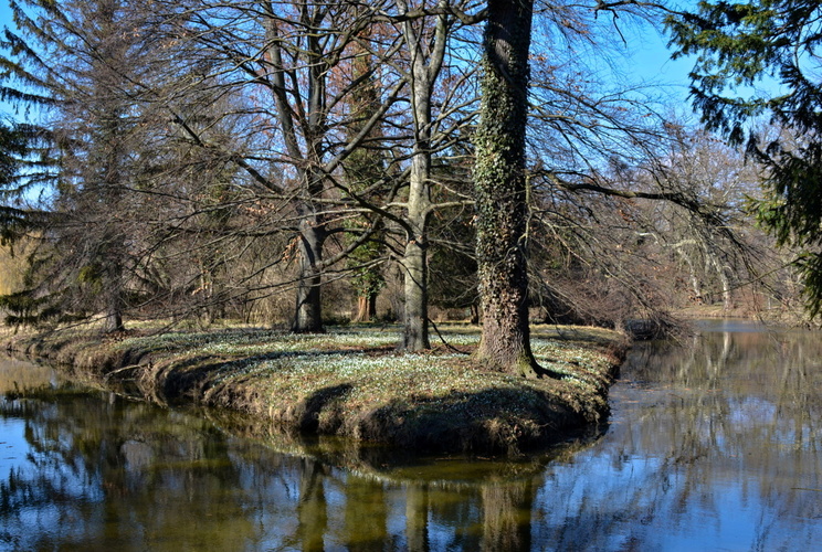 Rozkvetlý ostrůvek