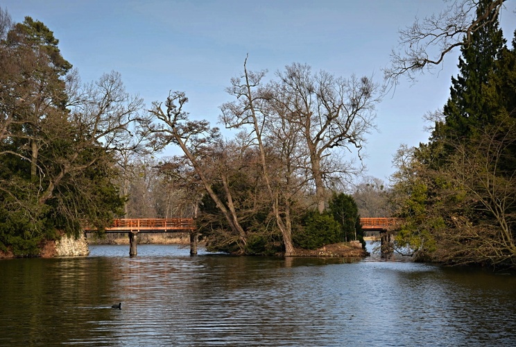 Můstková