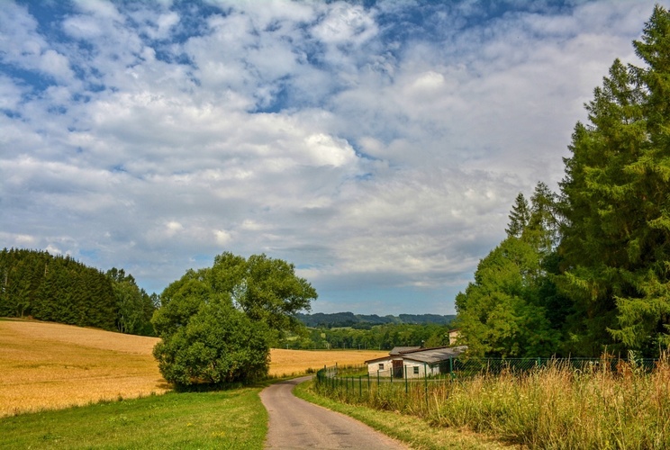 Letní krajina