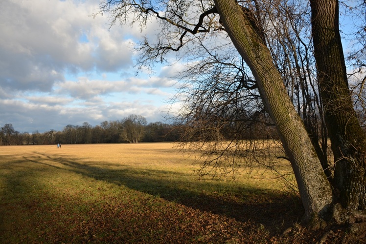 Dlouhý stín