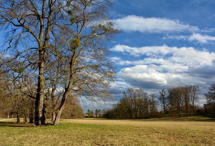 Předjarní