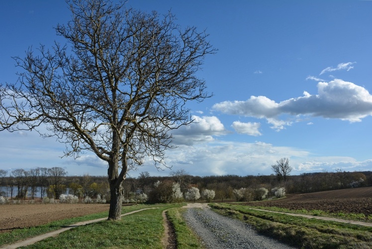 Jarní procházka