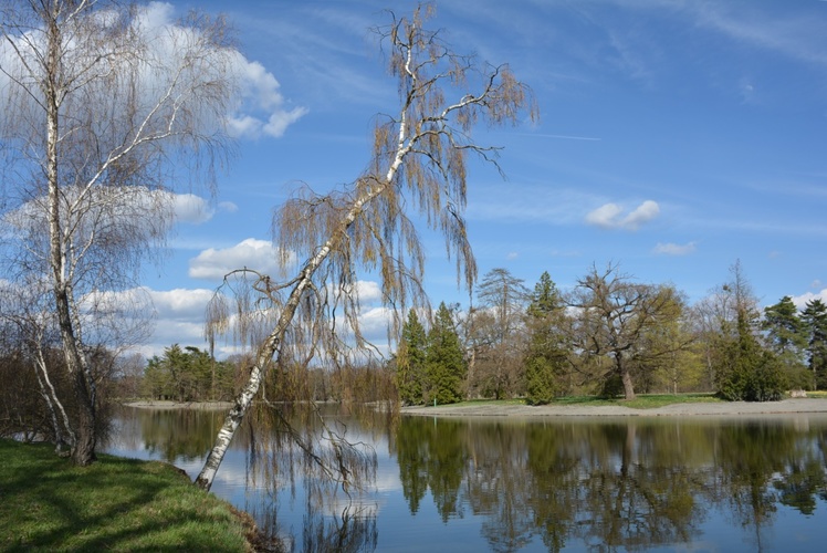 Jarní park