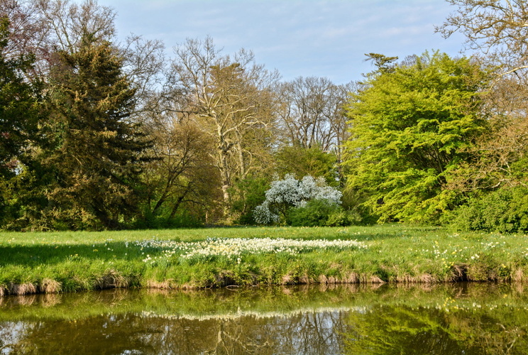 Rozkvetlý park