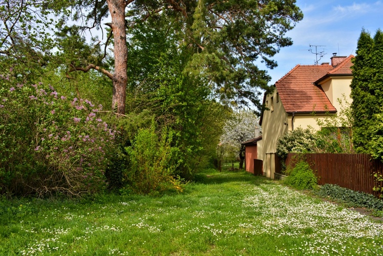 Sedmikráskové zákoutí