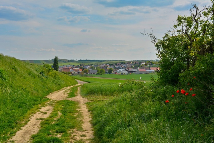 Venkovská krajina