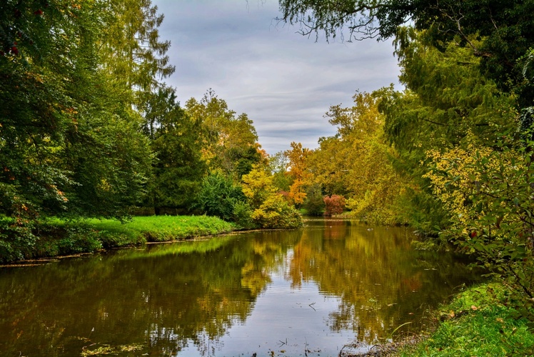 Zámecký rybník