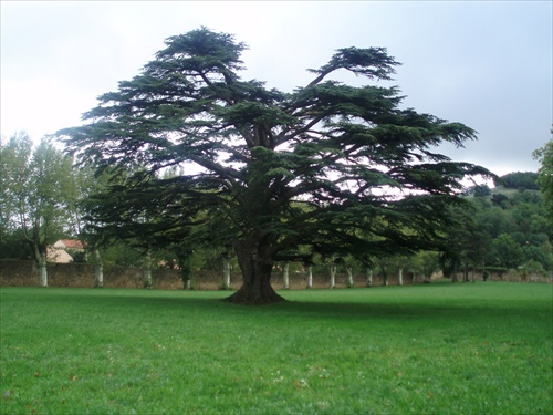 Kláštor SOREZE - park