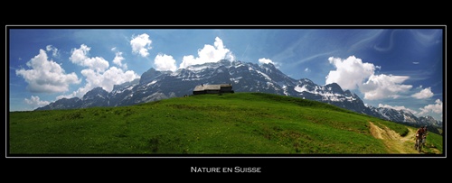 Suisse