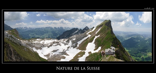 Nuture de la Suisse