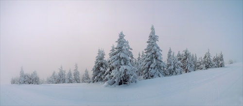 Kubinská Hoľa 4