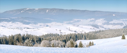 Kubinská Hoľa