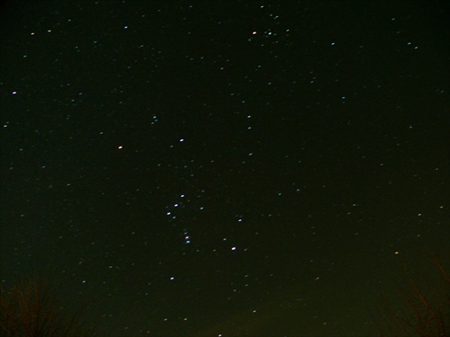 orion