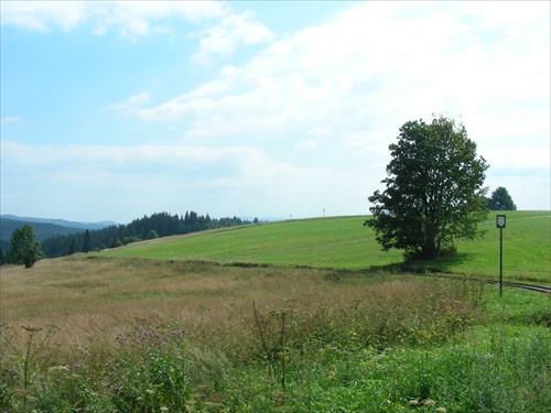 Oravská lesná železnica Tanečník 2