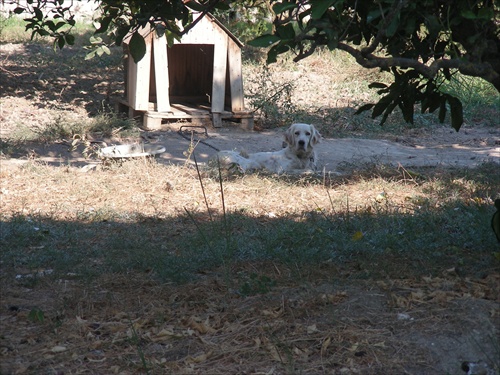 Strážca výrobcu keramiky - Zakynthos