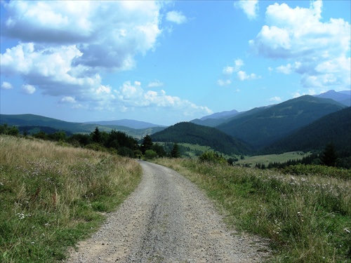 Cestou k Veľkému Borovému