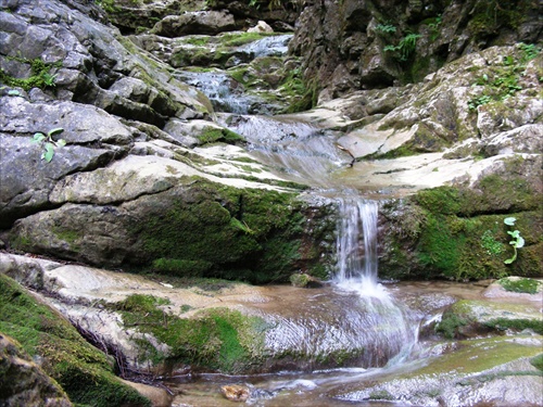 Vodičková v Kvačianskej doline