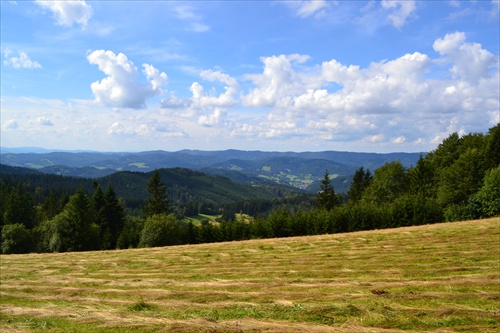 Zo slovensko-českej hranice