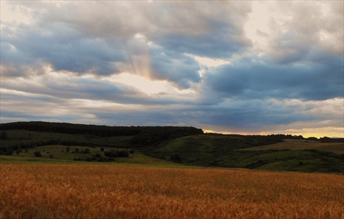 Pohraničie