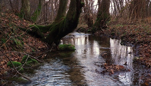 Novembrová