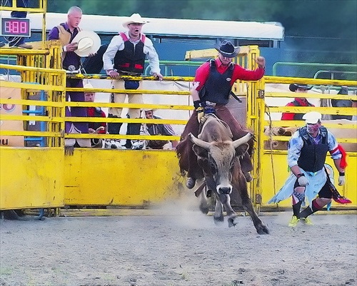 Bull riding